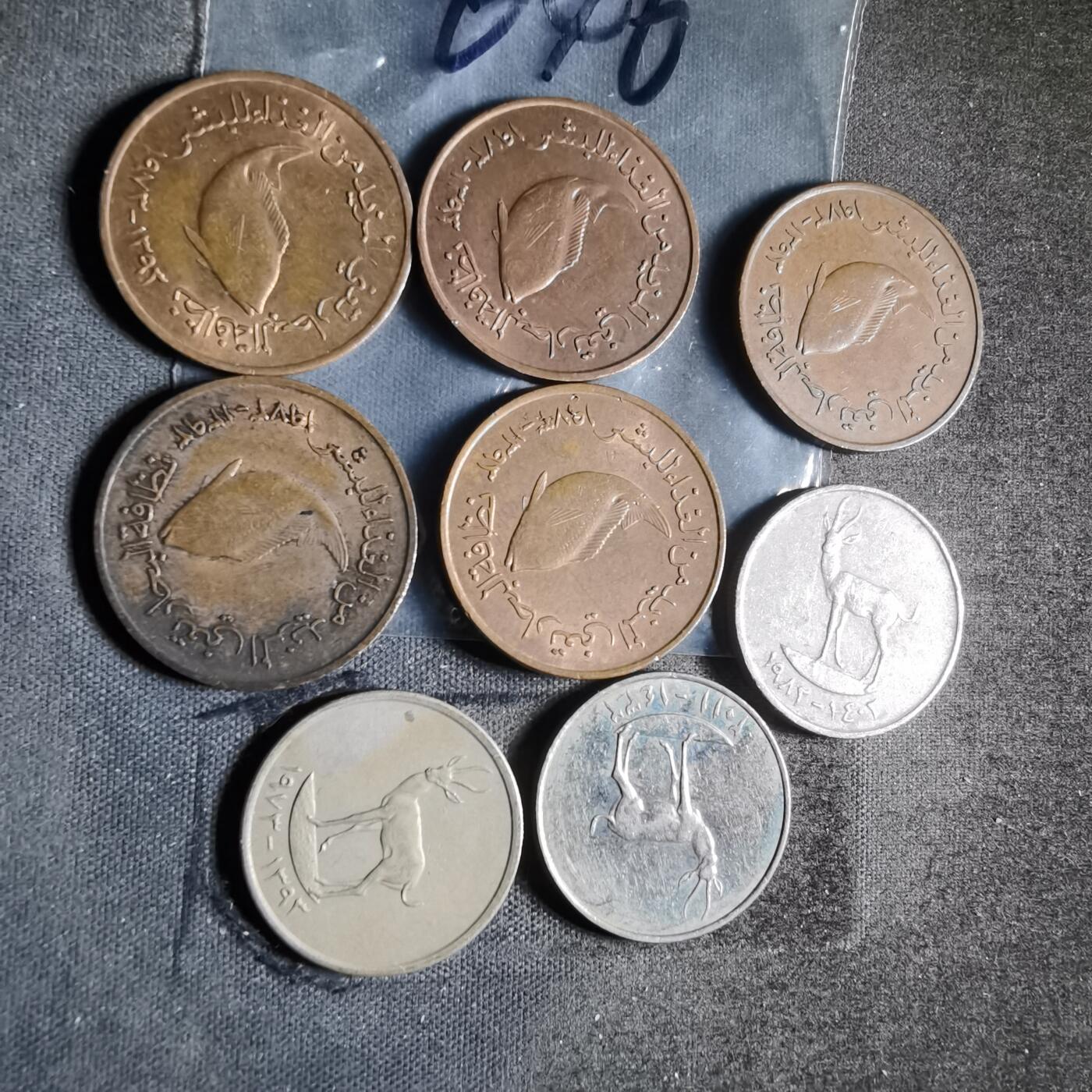 沼泽如烟--第956场 阿联酋八枚