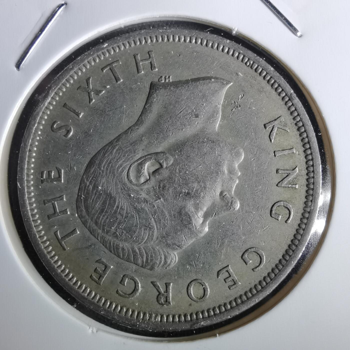 沼泽如烟--第957场