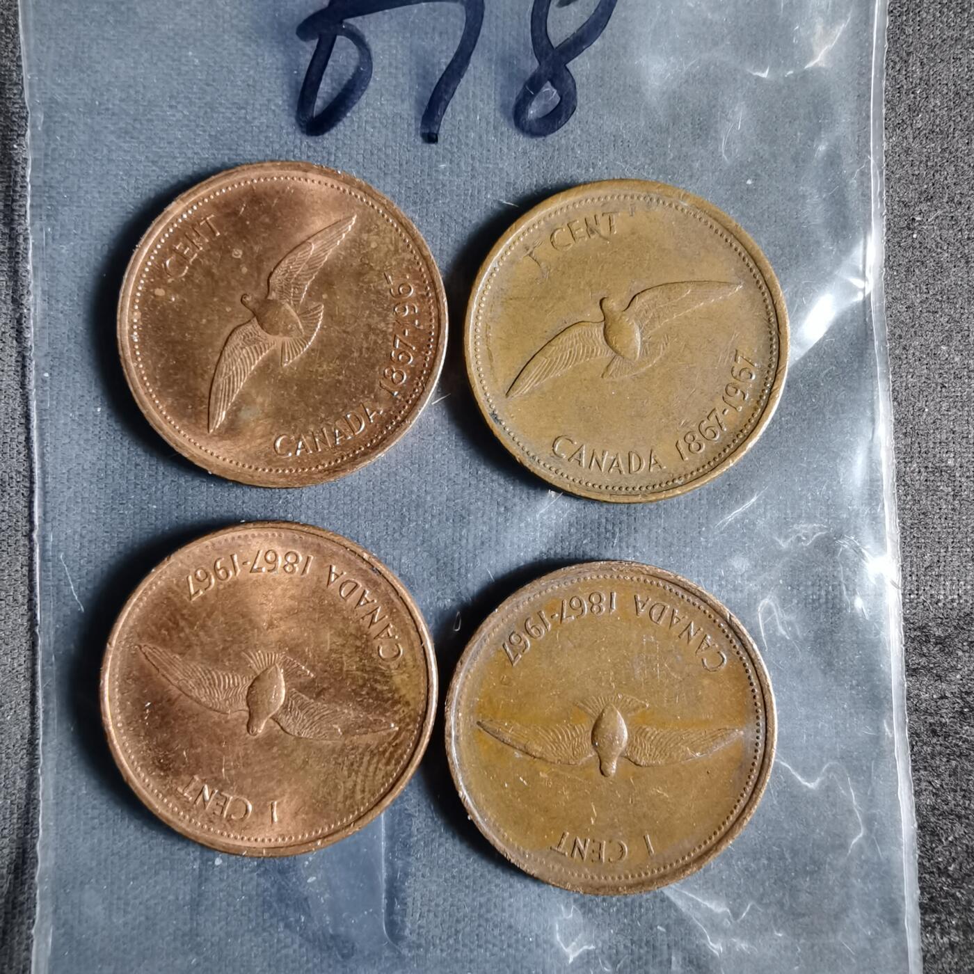 沼泽如烟--第956场