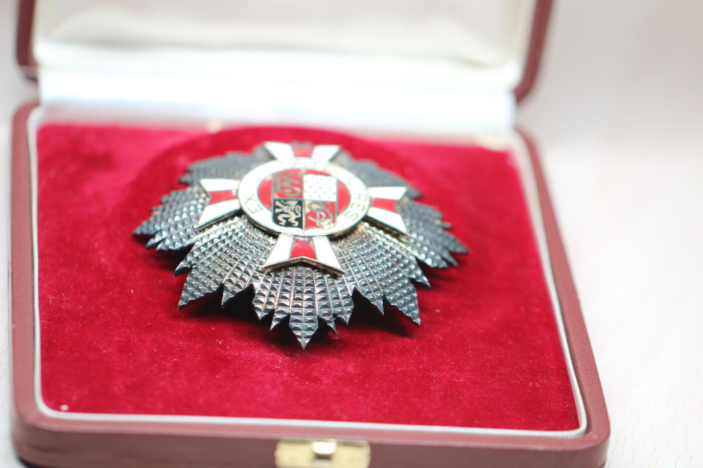 大猫徽章拍卖 第286期