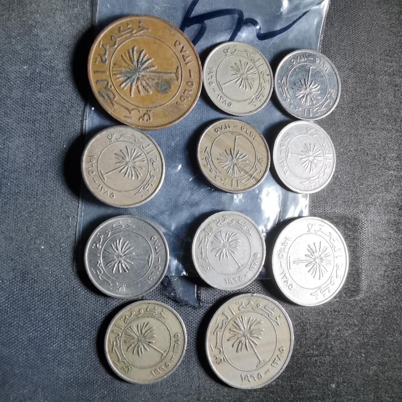 沼泽如烟--第956场