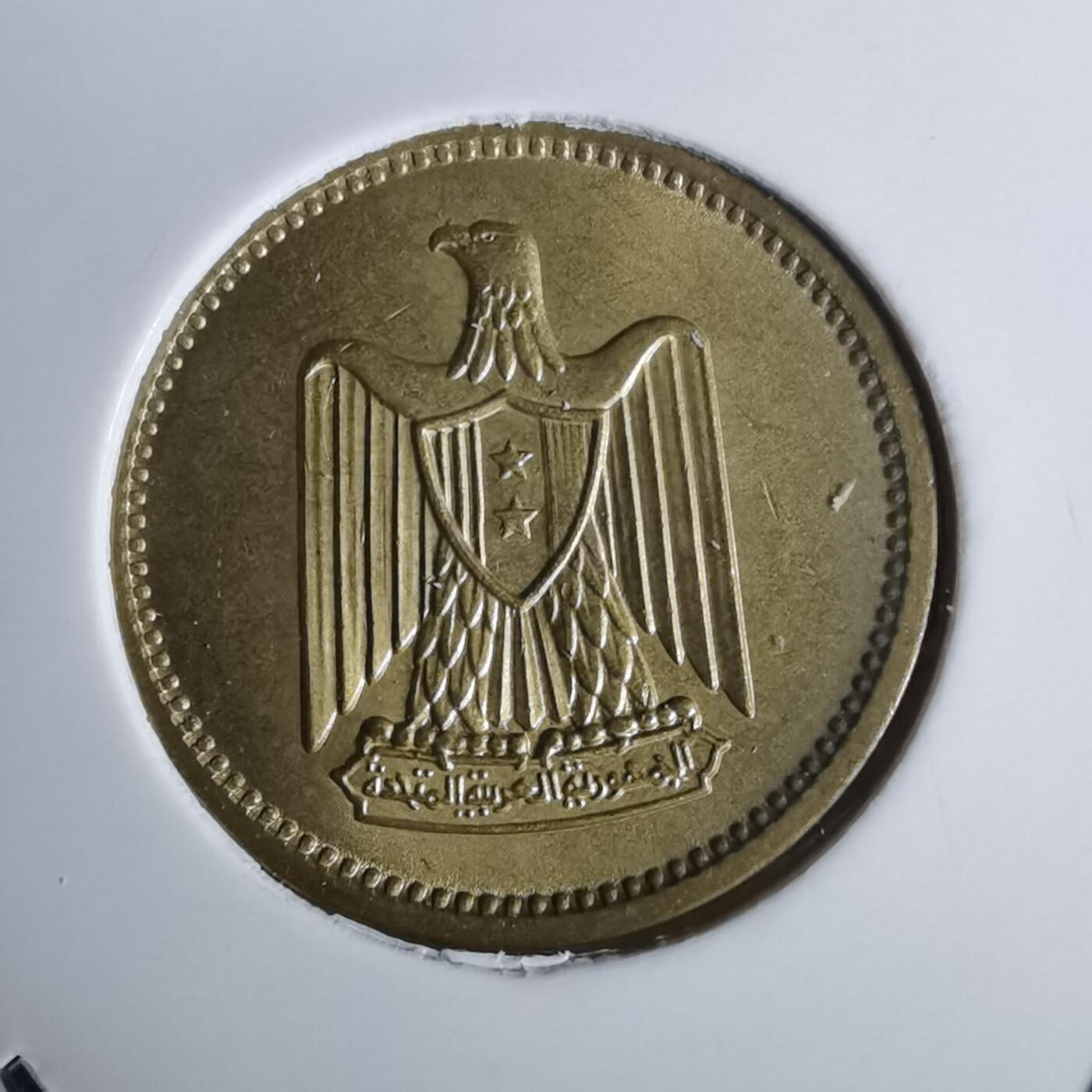 沼泽如烟--第957场