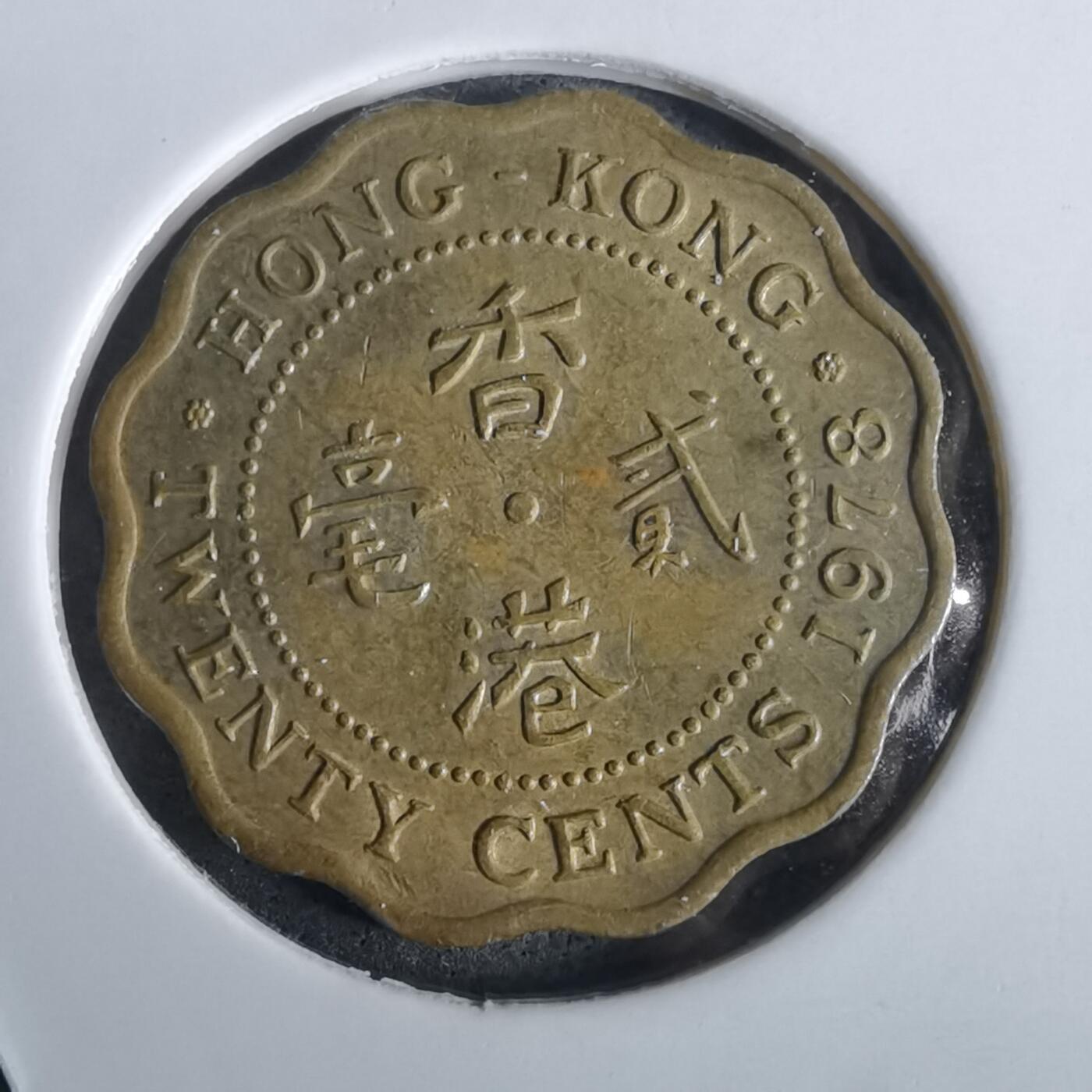 沼泽如烟--第957场