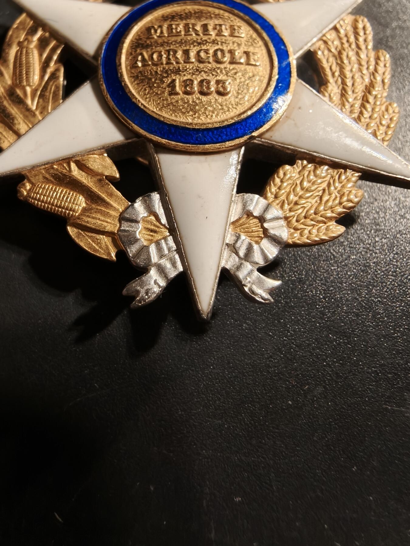 老王徽章第176期