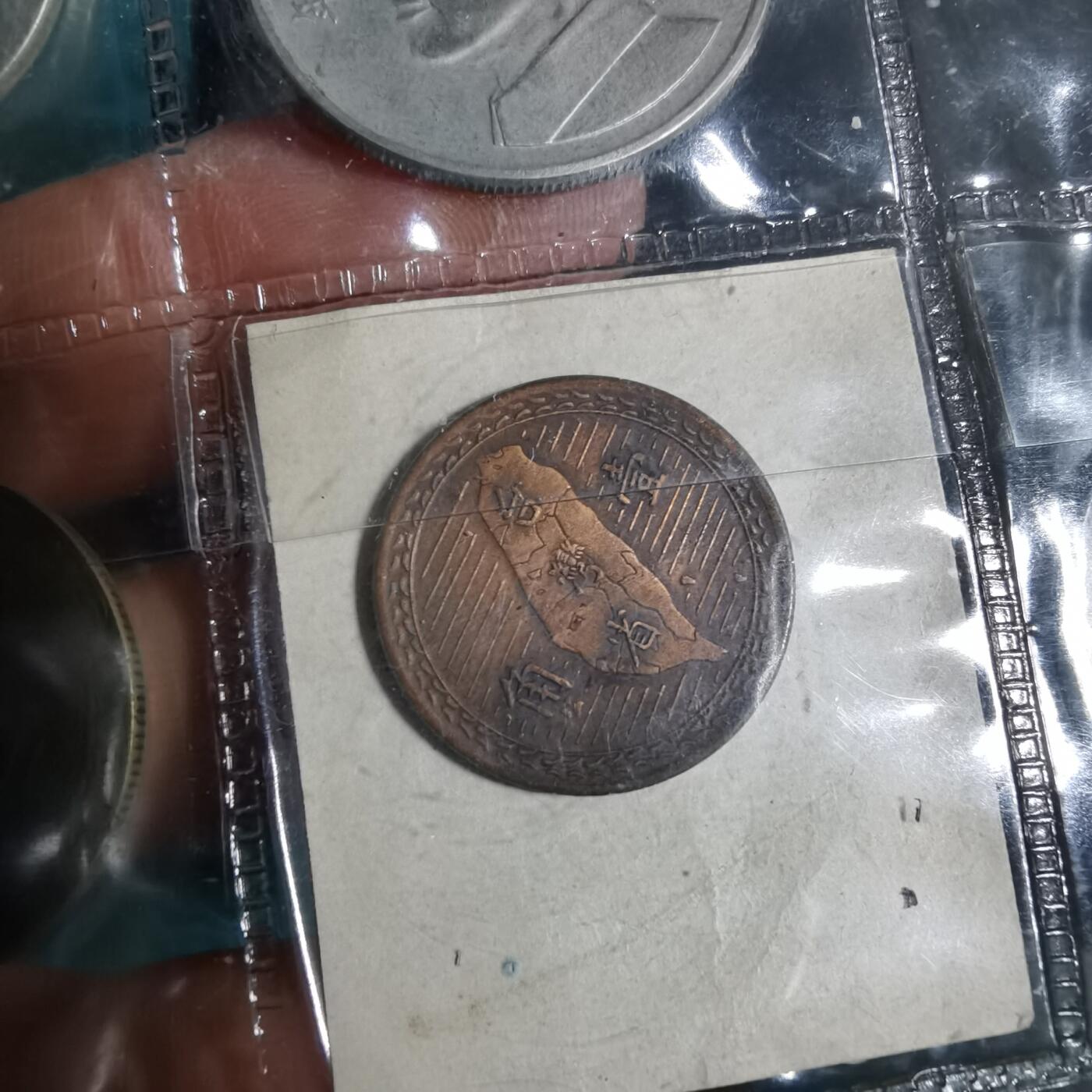 沼泽如烟--第956场