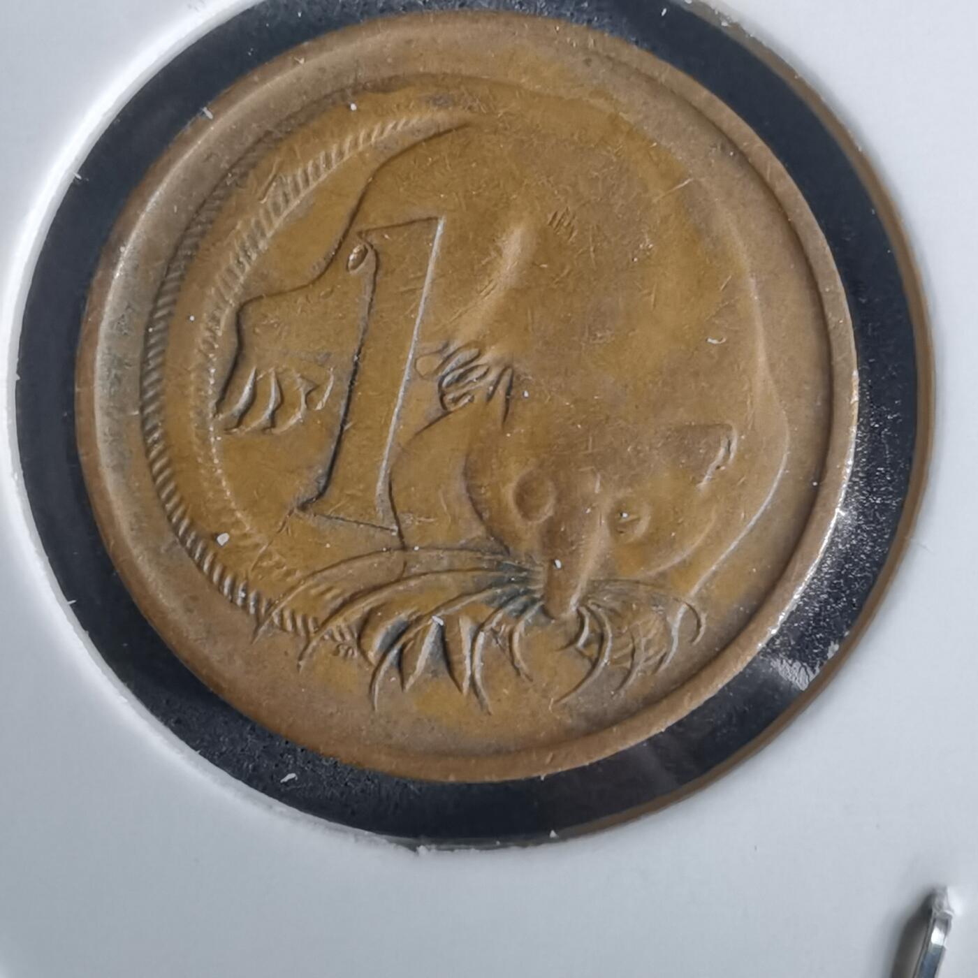 沼泽如烟--第957场