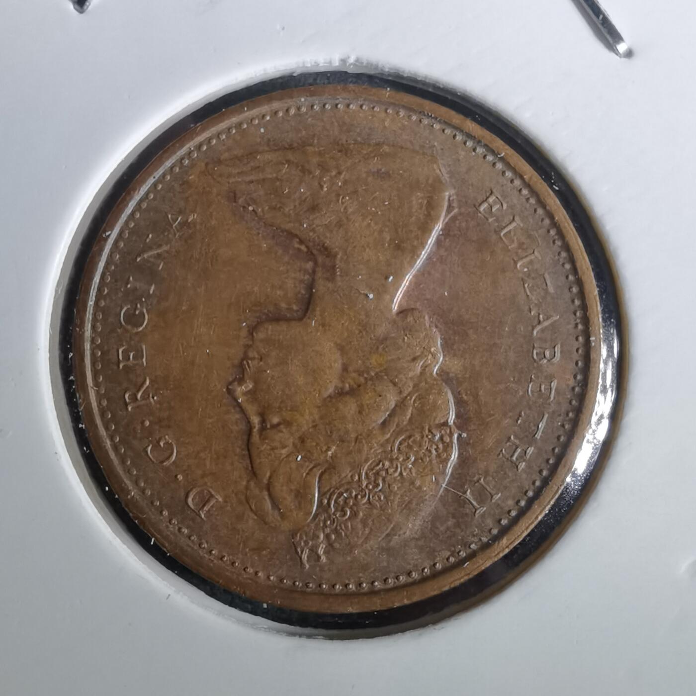 沼泽如烟--第957场