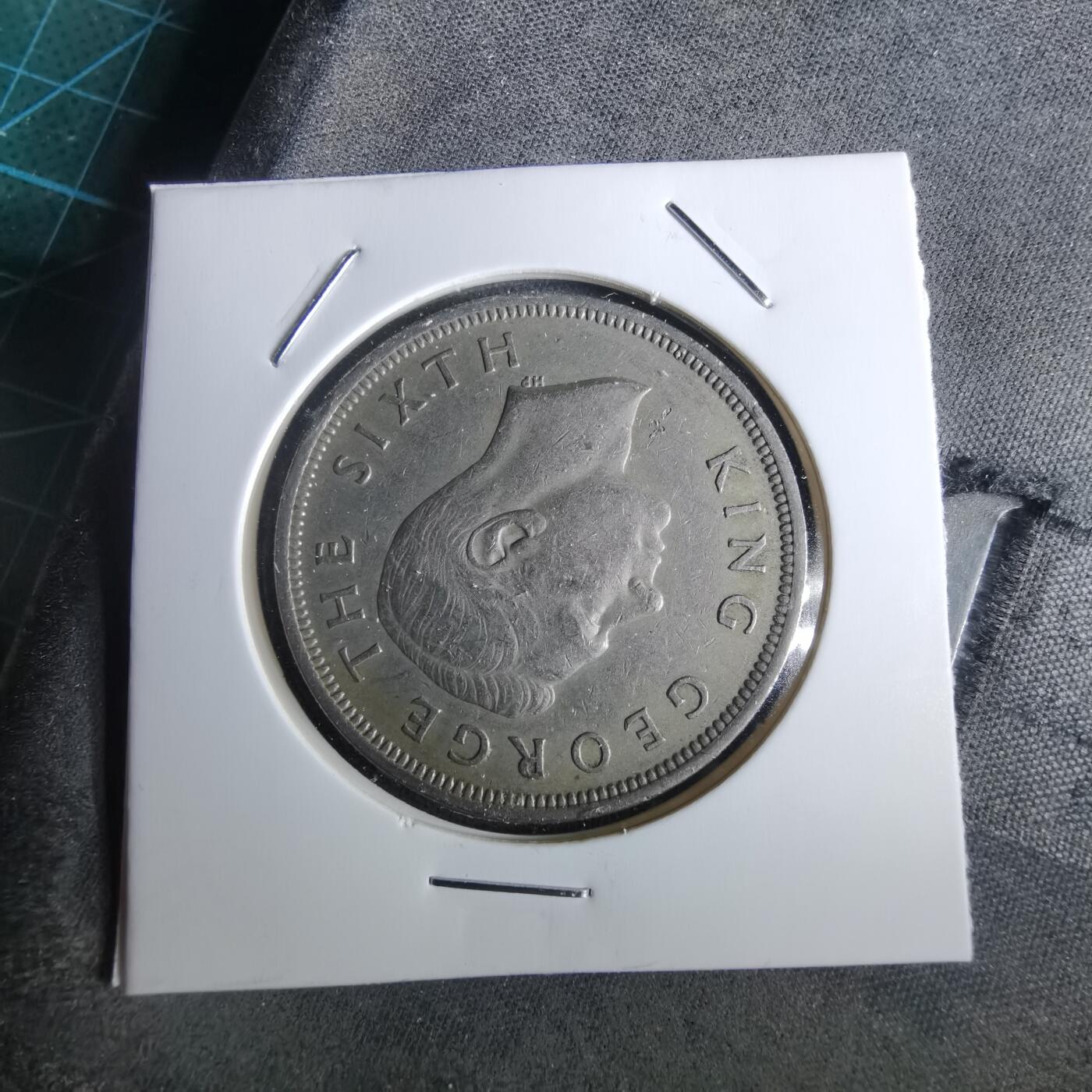 沼泽如烟--第957场