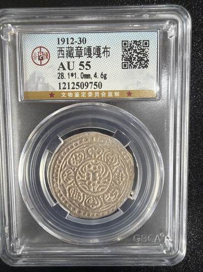 2026评级银元、钱币、杂项等迎新春第二期拍卖会 - 嘎嘎布