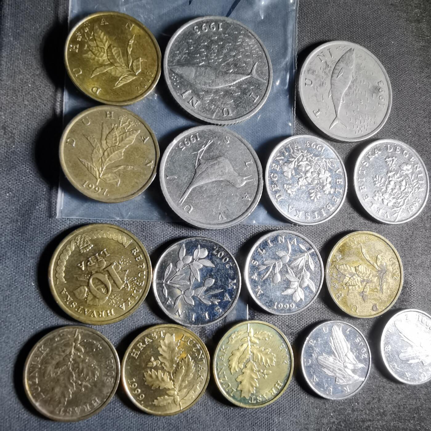 沼泽如烟--第956场