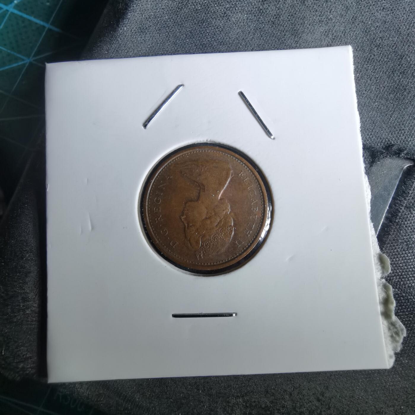 沼泽如烟--第957场