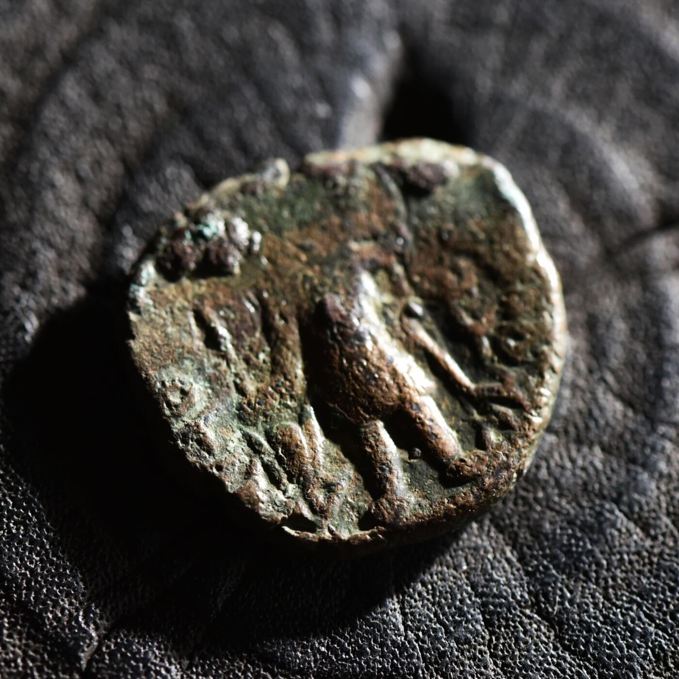 【良泉】【春节前最后一场】2月5日晚19.30点开拍！208组，本场结束后预存钱币的朋友请告知，将连同本场拍品一起邮寄，预祝诸位春节愉快！ 公元247-267年【古印度】贵霜，婆湿色伽“湿婆瘤牛”铜币，5.4克