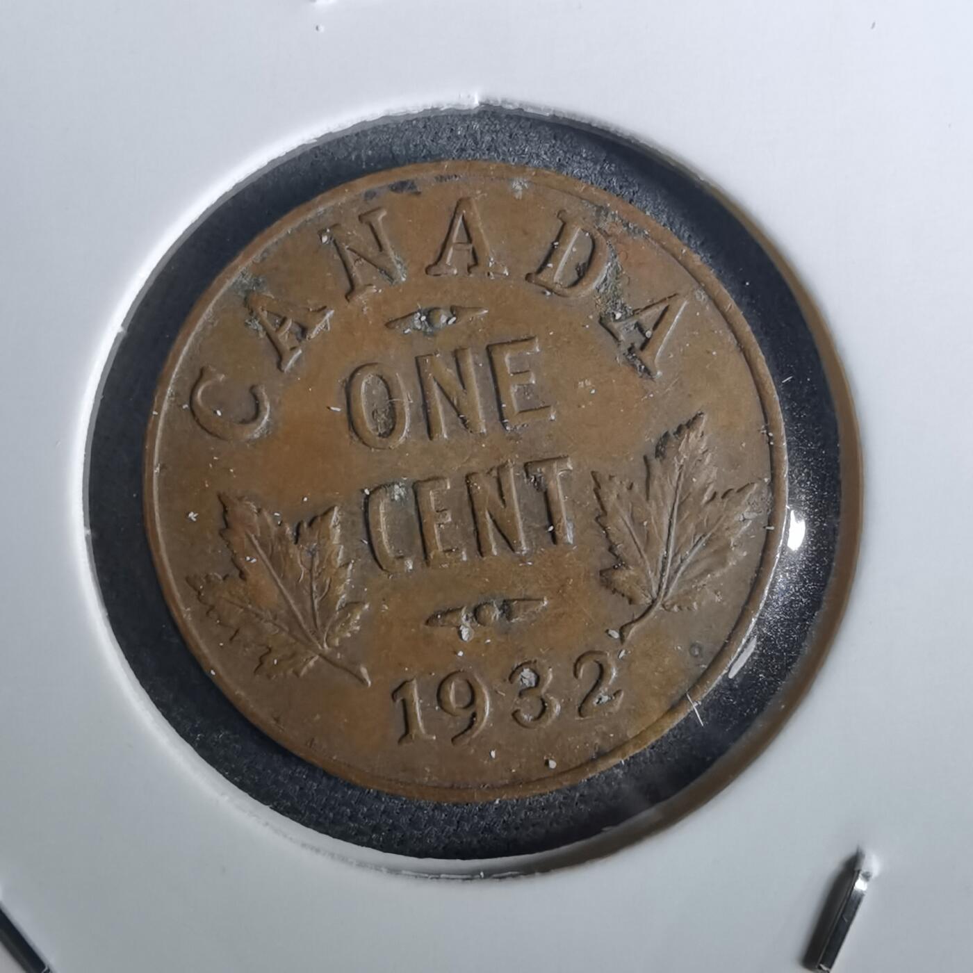 沼泽如烟--第957场