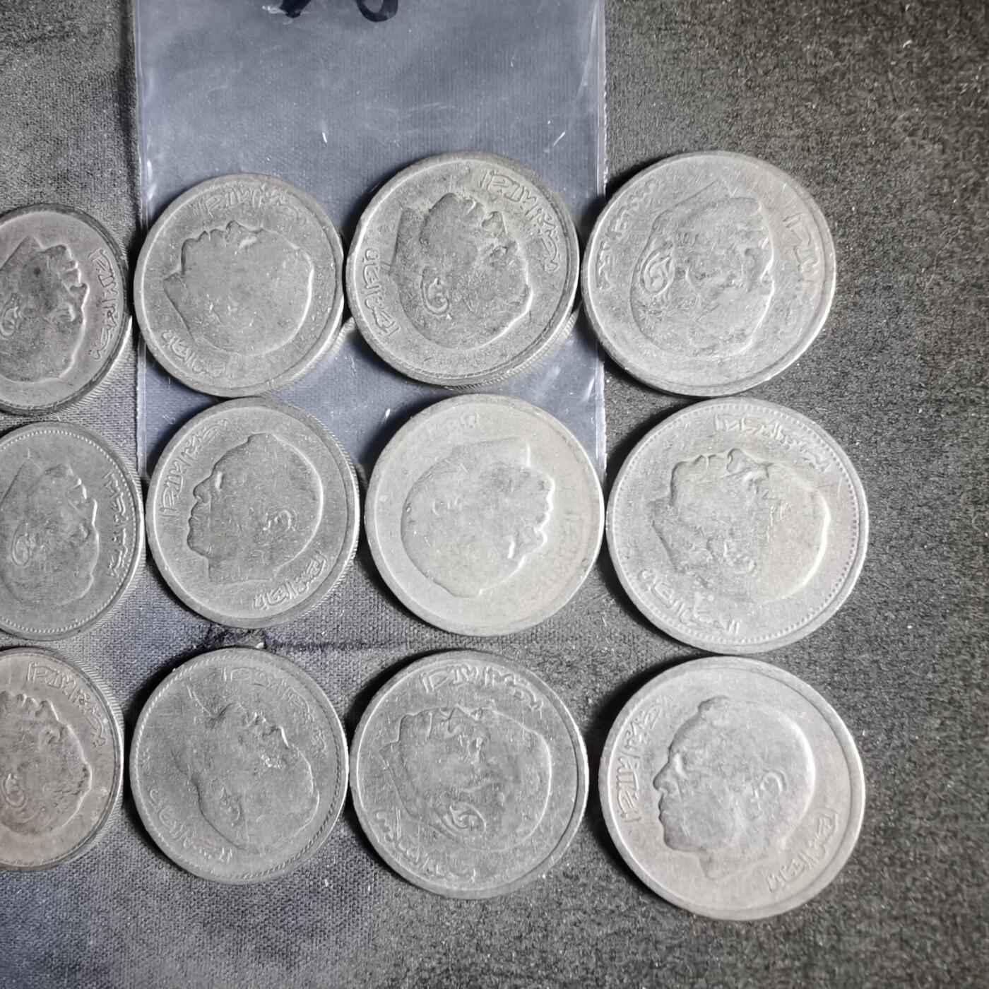 沼泽如烟--第956场