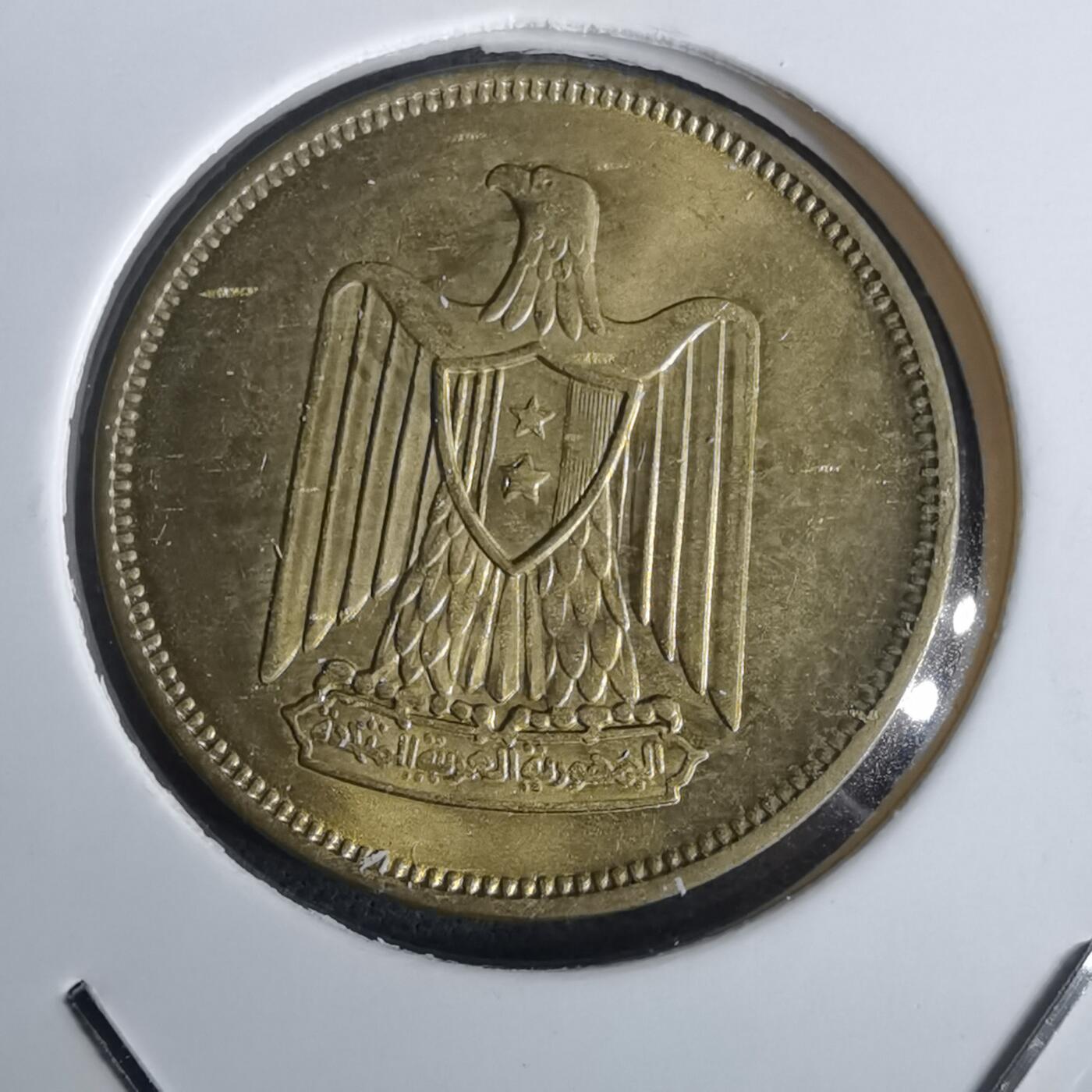 沼泽如烟--第957场