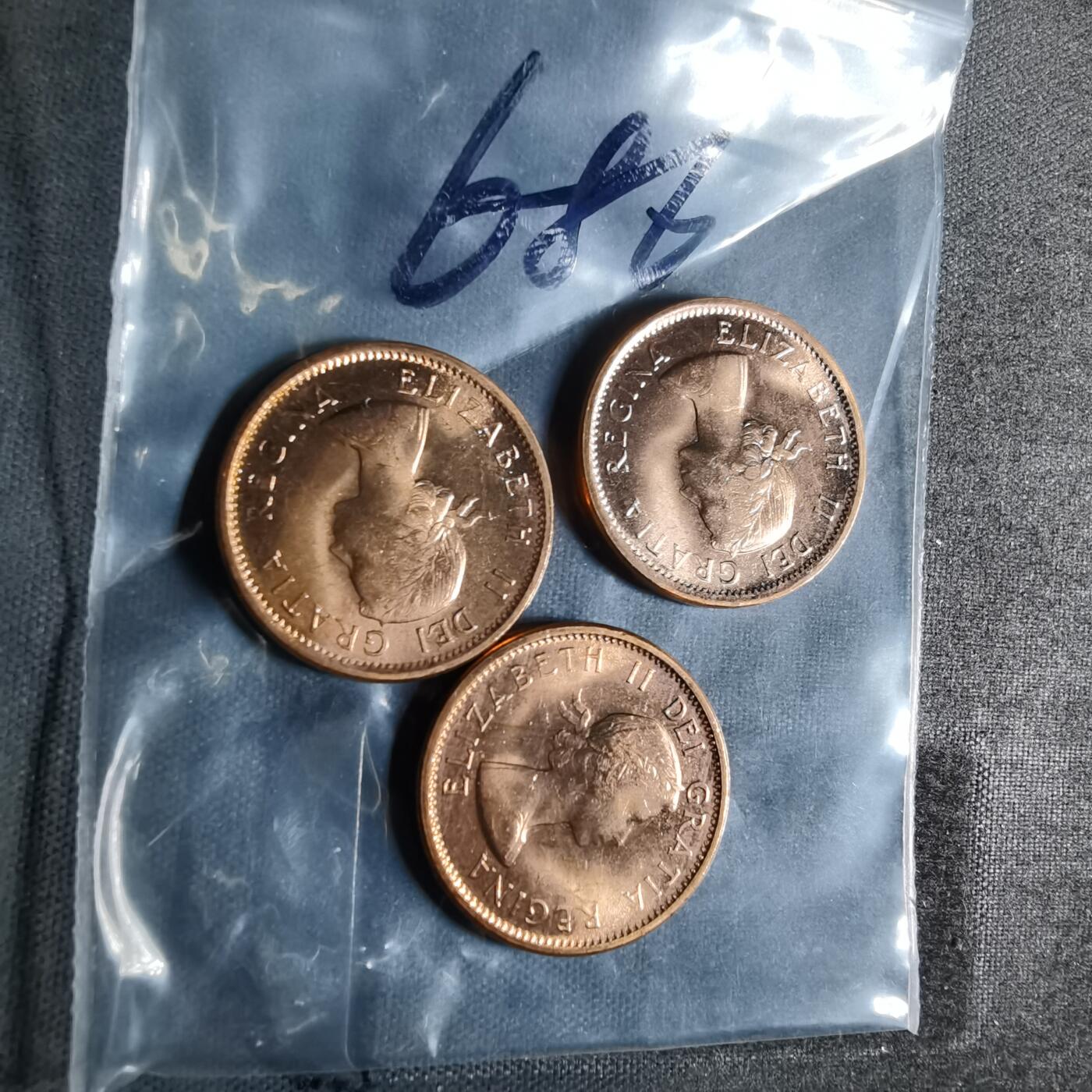 沼泽如烟--第956场