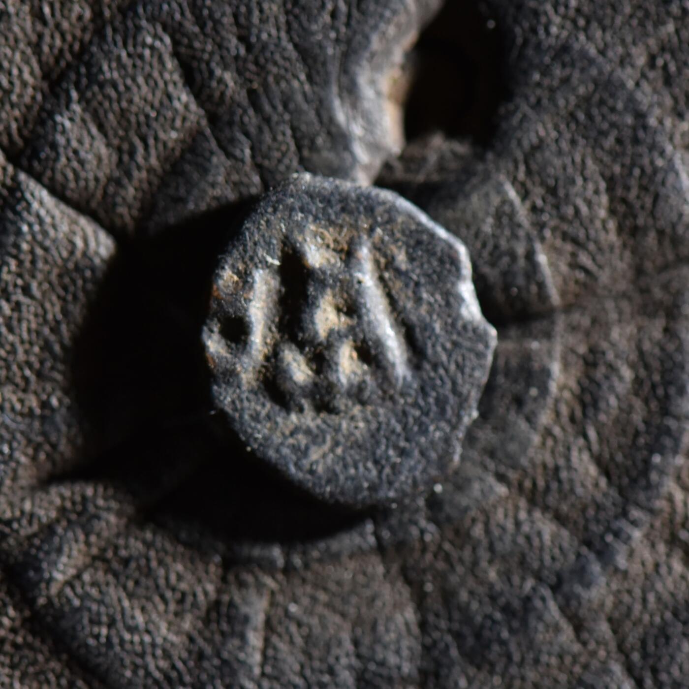 【良泉】【春节前最后一场】2月5日晚19.30点开拍！208组，本场结束后预存钱币的朋友请告知，将连同本场拍品一起邮寄，预祝诸位春节愉快！ 【少见】公元前185-前160年【古印度】布色羯逻伐底城，三拱佛丘 1/8卡夏帕铜币，1.3克