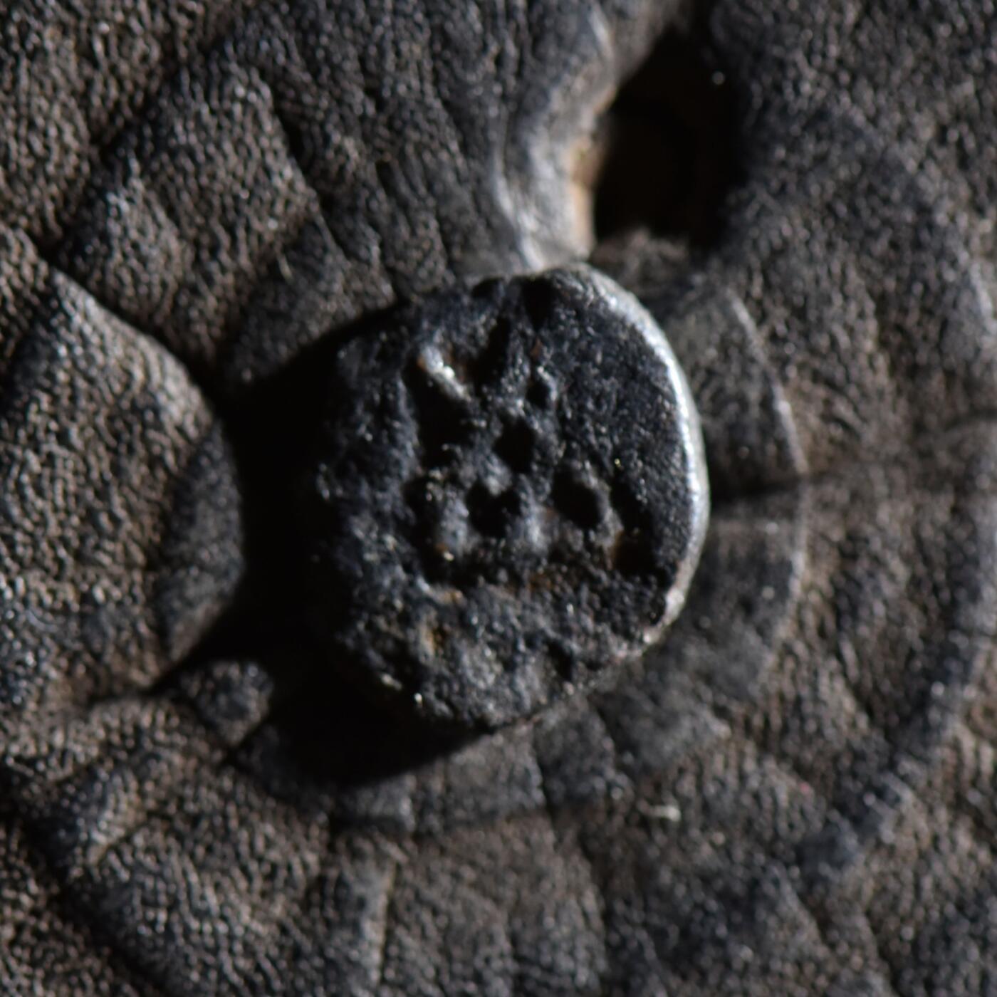 【良泉】【春节前最后一场】2月5日晚19.30点开拍！208组，本场结束后预存钱币的朋友请告知，将连同本场拍品一起邮寄，预祝诸位春节愉快！ 【少见】公元前185-前160年【古印度】布色羯逻伐底城，三拱佛丘 1/8卡夏帕铜币，1.3克