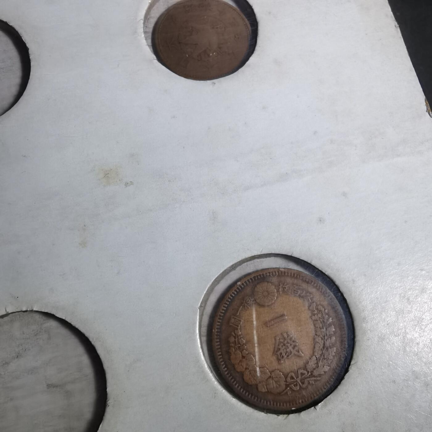 沼泽如烟--第956场