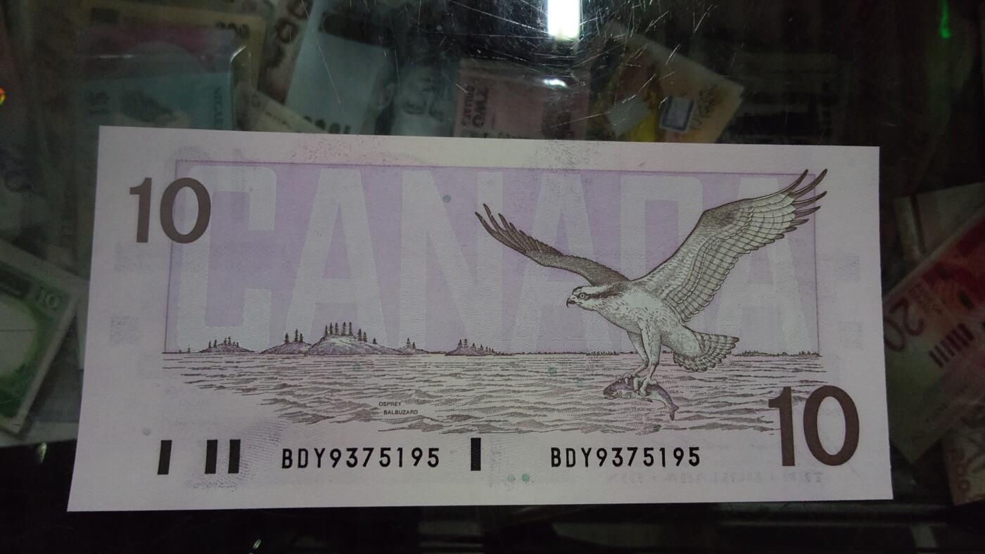 【新年七拍】世界钱币～微拍第228期暨2026年第7期  中小单价原刀卖剩号码精选部分 1989年加拿大鸟版10元 全新绝品无4尾号5195