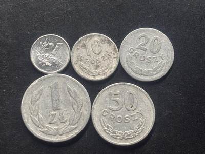 邮泉阁限时拍卖第三十九场 欧洲专场（硬币在国外。请付邮费6元。） 波兰1949年5枚铝币