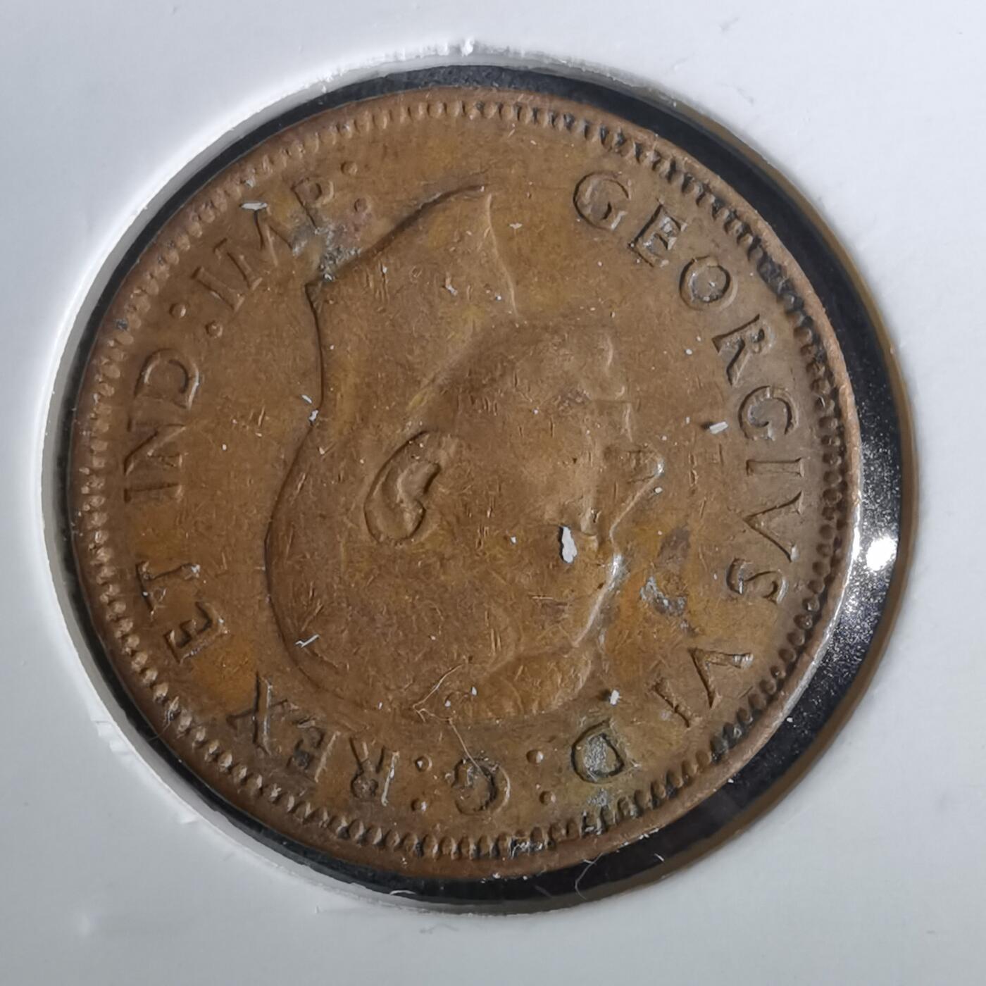 沼泽如烟--第957场