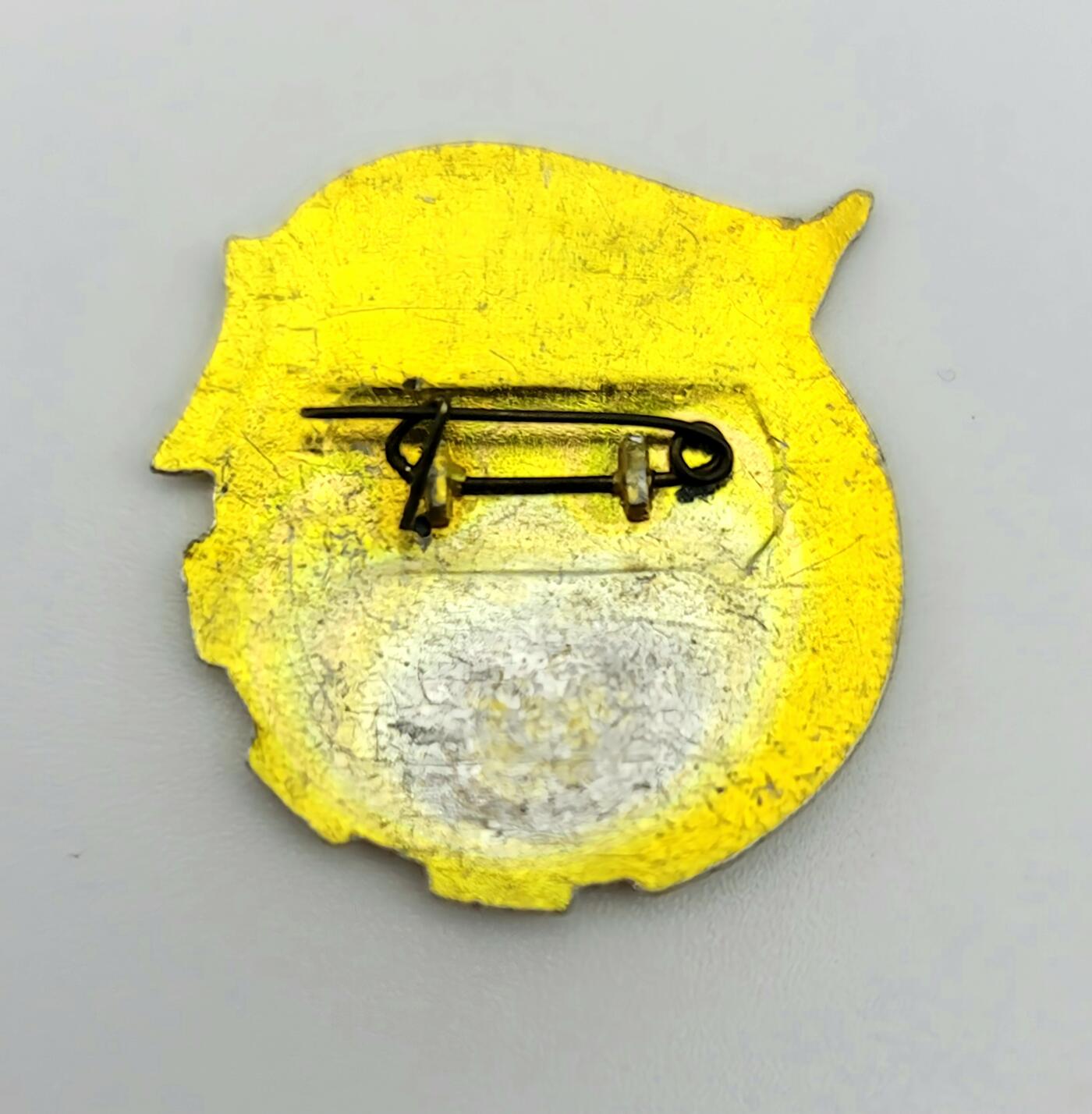 红花少年徽章～一代人的青春记忆