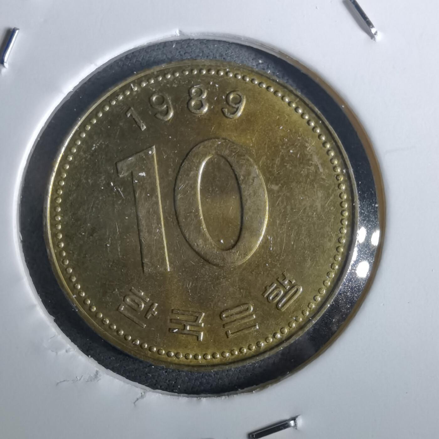 沼泽如烟--第957场