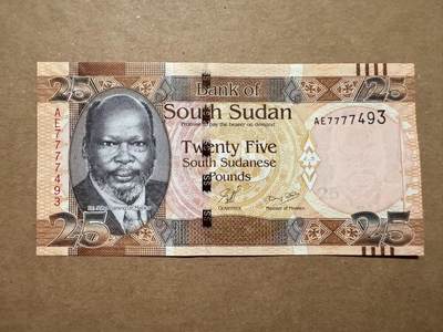 🐍甜小邱世界纸币收藏🐍第139期精品场💐 - 【稀少面值+初版】全新UNC 南苏丹 25镑 2011