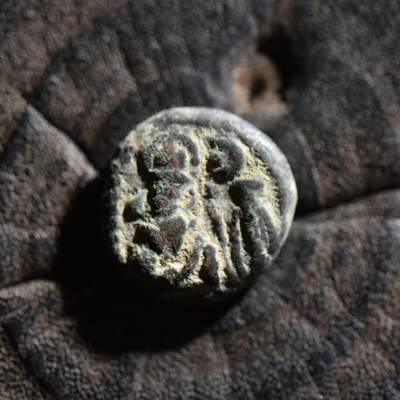 【良泉】【春节前最后一场】2月5日晚19.30点开拍！208组，本场结束后预存钱币的朋友请告知，将连同本场拍品一起邮寄，预祝诸位春节愉快！ - 公元1-2世纪【埃兰】弗拉特斯铜币，3.32克