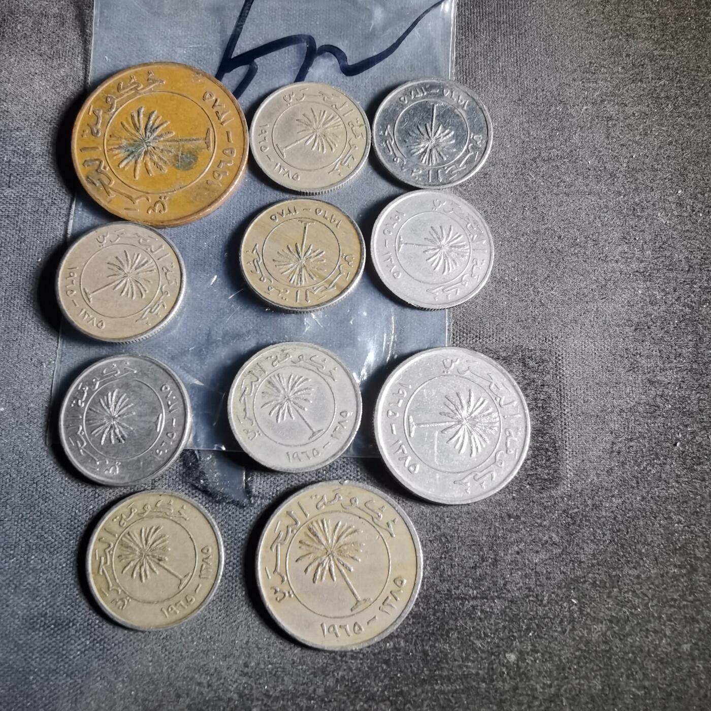 沼泽如烟--第956场