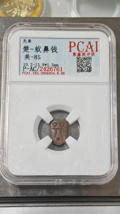 杂币场 - 蚁鼻钱一枚