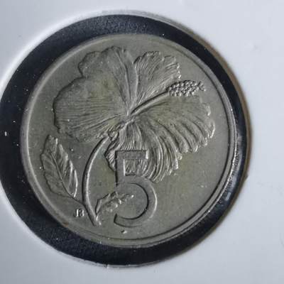 沼泽如烟--第957场 - 库克1973年五分