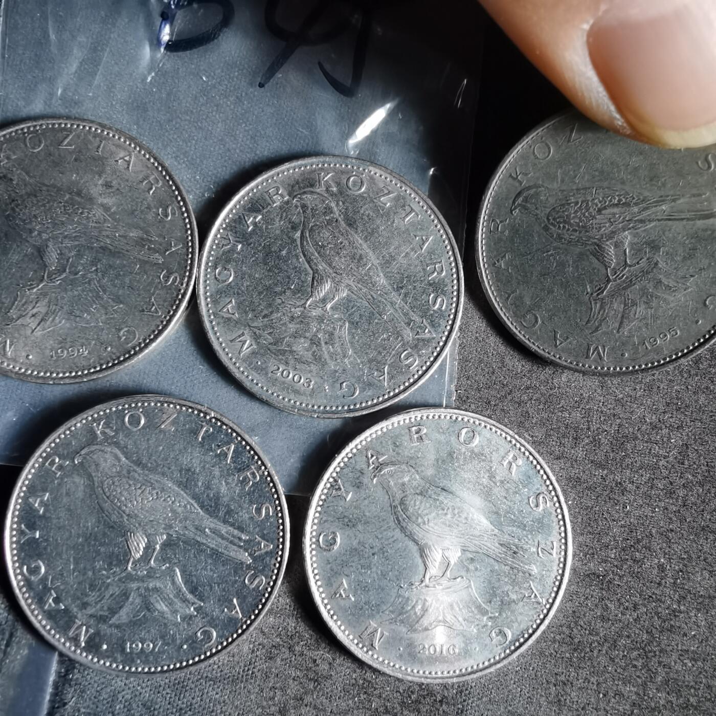 沼泽如烟--第956场