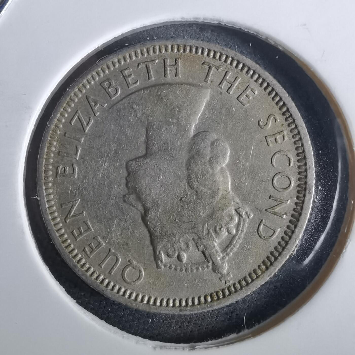 沼泽如烟--第957场