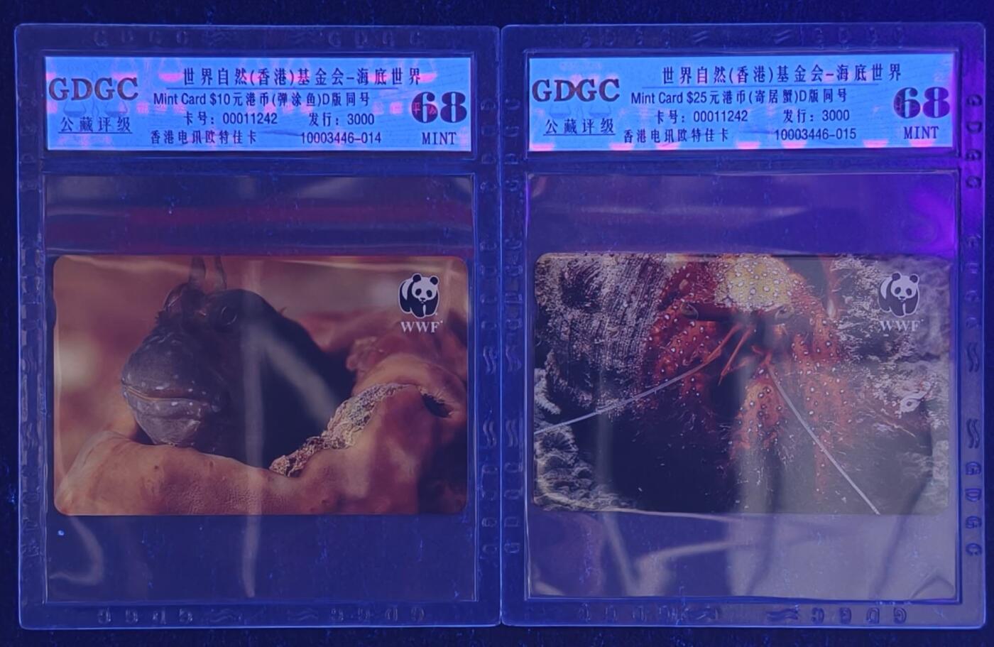 公藏第129期评级卡拍卖 香港欧特佳卡（🐼世界自然（香港）基金会）2全发行3000，全同号11242。公藏68分。公藏评级专业有卡号及防伪标。