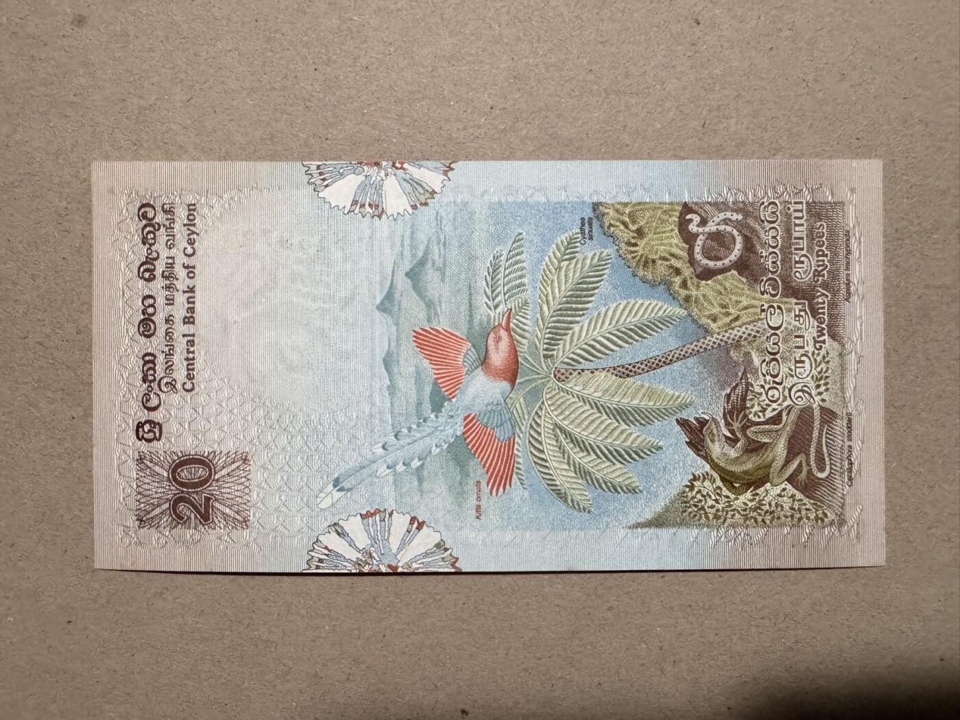 🐍甜小邱世界纸币收藏🐍第139期精品场💐