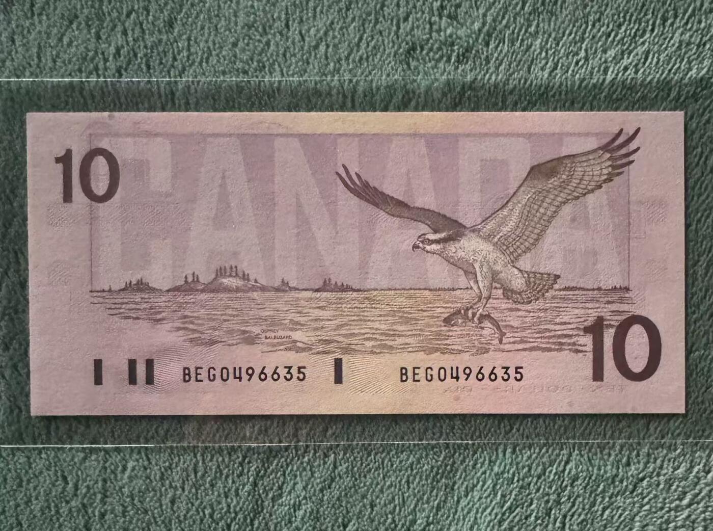 【礼羽收藏】🌏世界钱币拍卖第119期