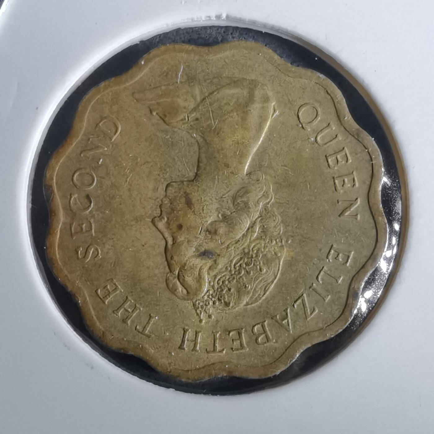 沼泽如烟--第957场