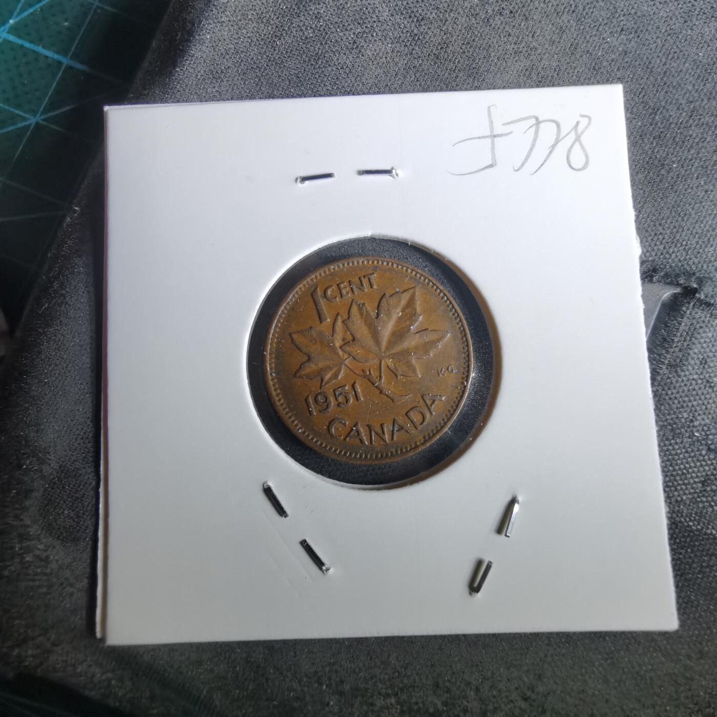 沼泽如烟--第957场