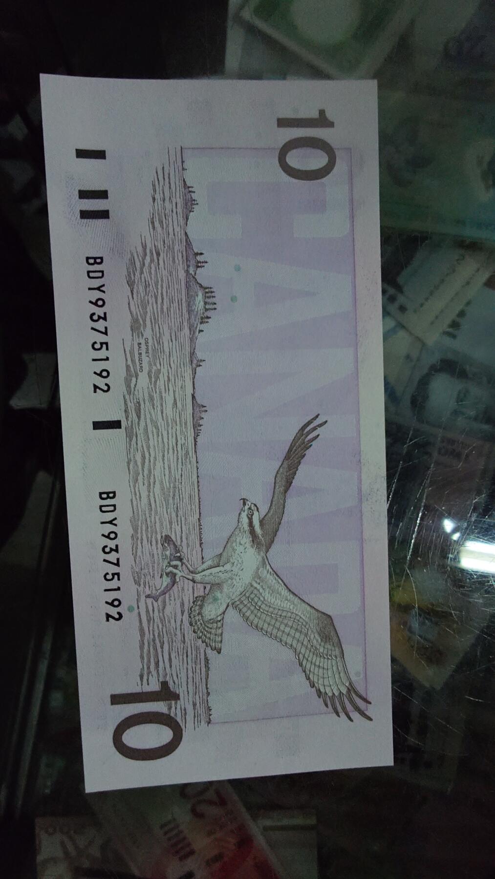 【新年七拍】世界钱币～微拍第228期暨2026年第7期  中小单价原刀卖剩号码精选部分 1989年加拿大鸟版10元 全新绝品无4尾号5195