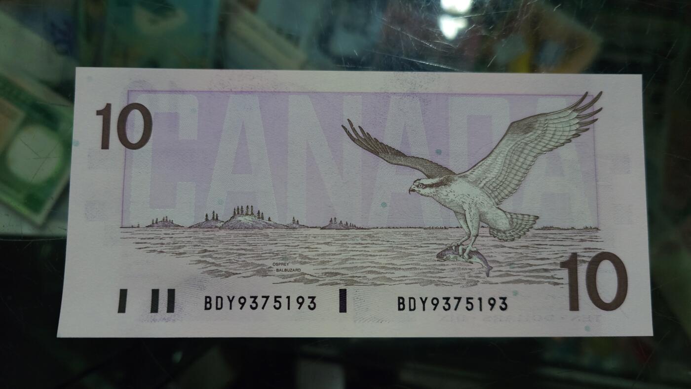 【新年七拍】世界钱币～微拍第228期暨2026年第7期  中小单价原刀卖剩号码精选部分 1989年加拿大鸟版10元 全新绝品无4尾号5193