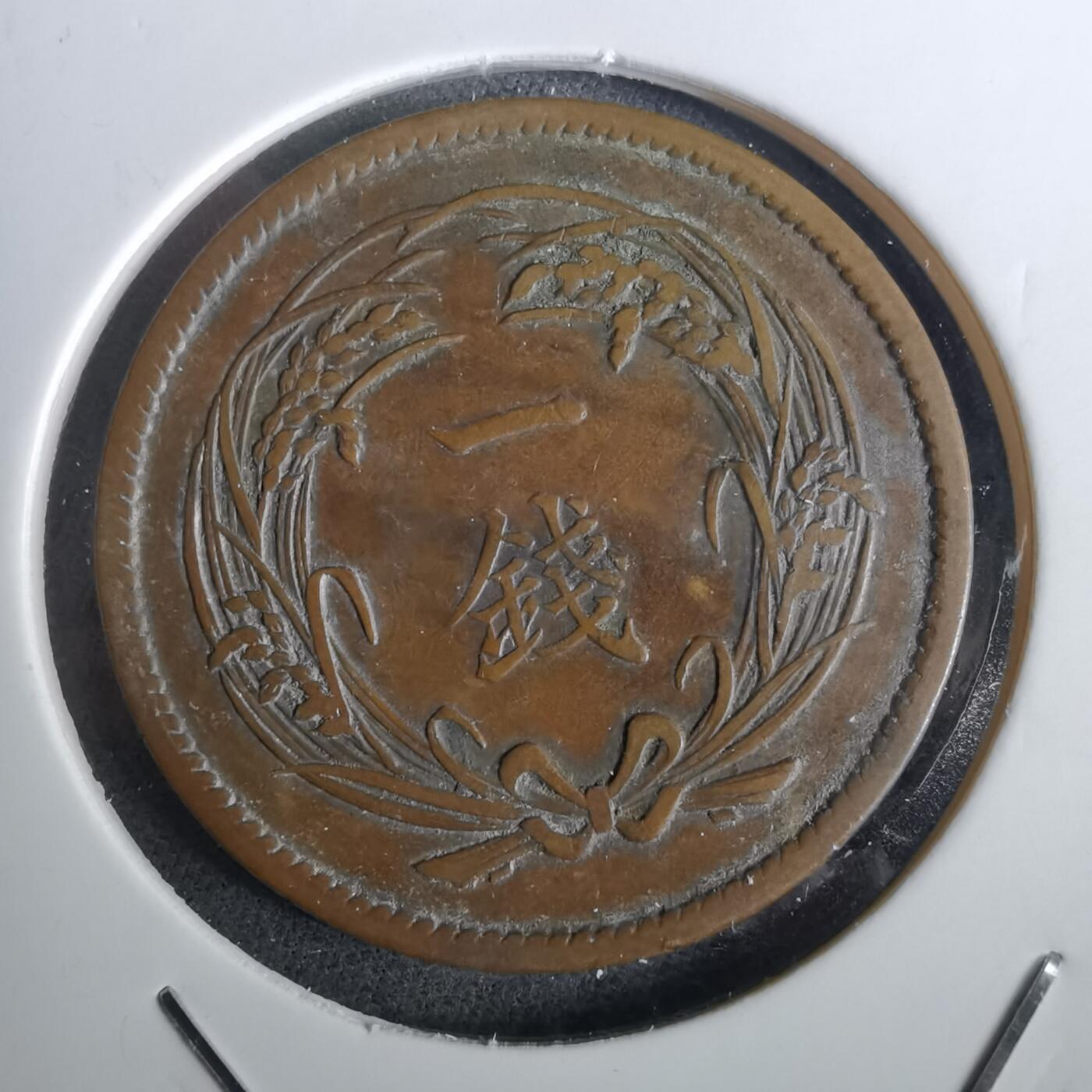 沼泽如烟--第957场