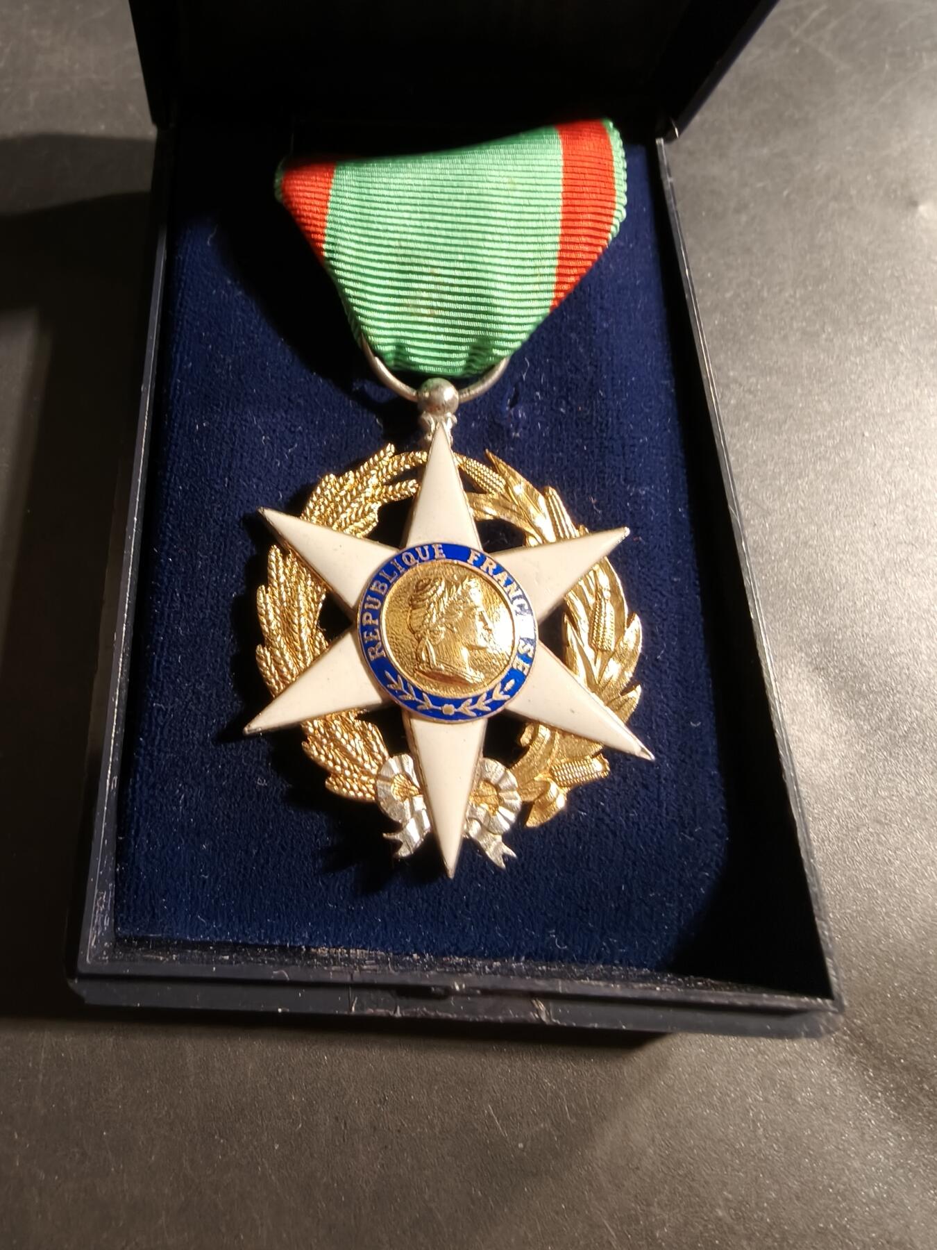 老王徽章第176期