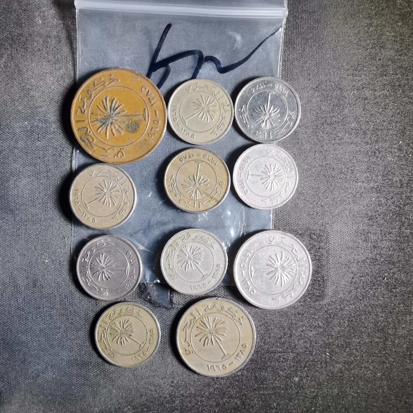 沼泽如烟--第956场