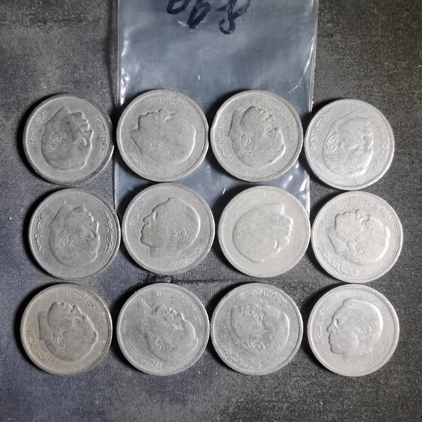 沼泽如烟--第956场