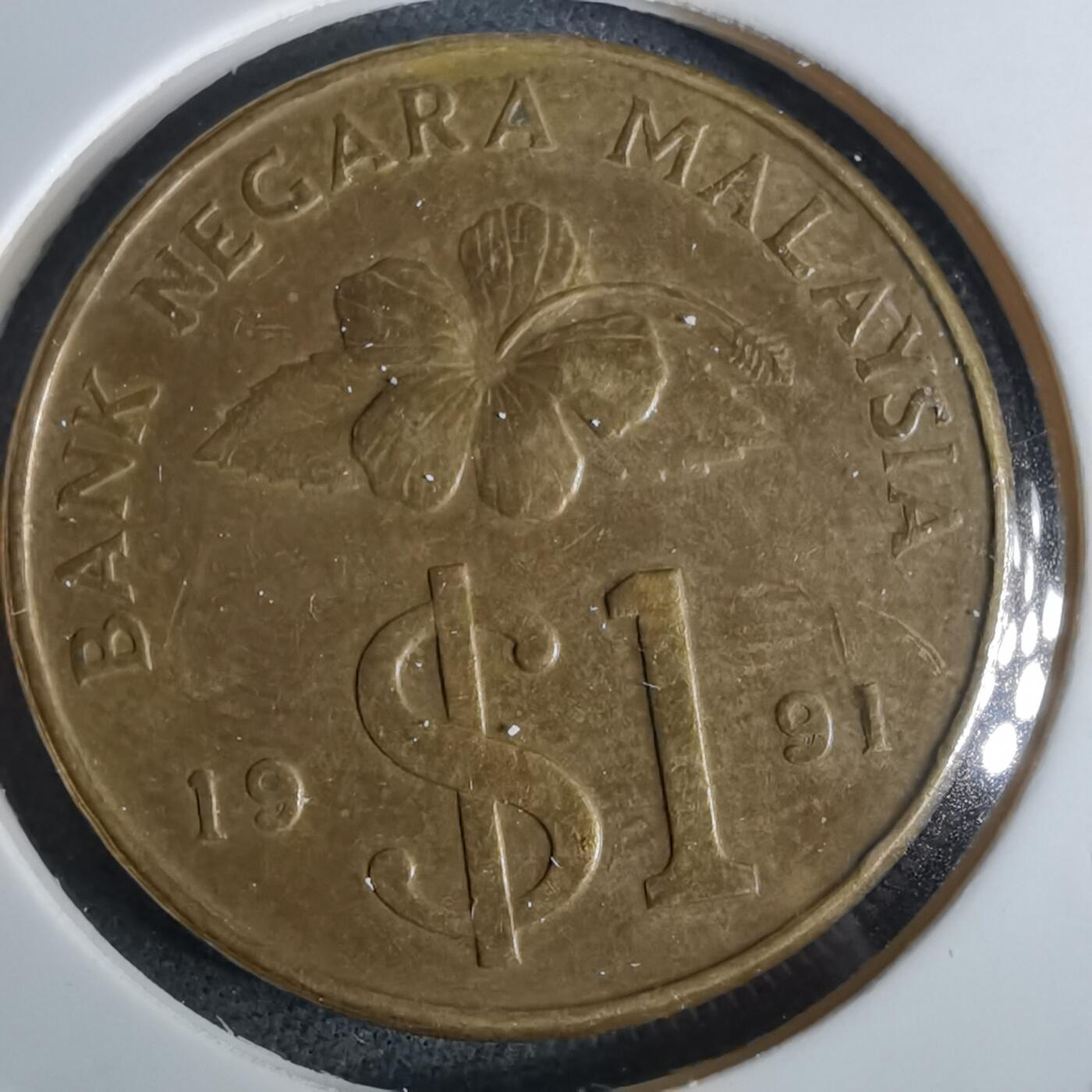 沼泽如烟--第957场