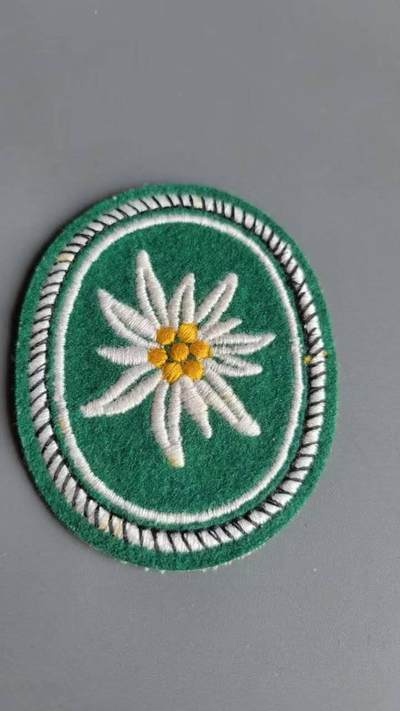 嘉宝良覃世界勋赏第22期拍卖 - 西德山地兵帽徽