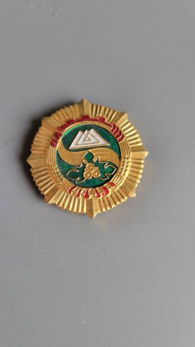 嘉宝良覃世界勋赏第22期拍卖 - 新疆克州工作奖章