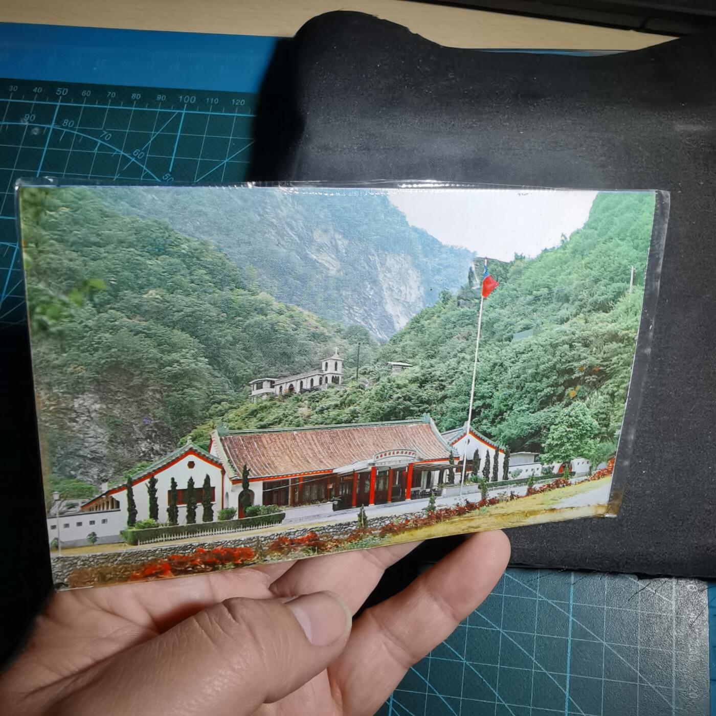 沼泽如烟--第956场